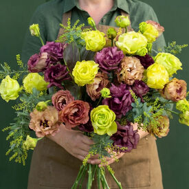 Rosanne 1 Mix, (F1) Lisianthus Seeds